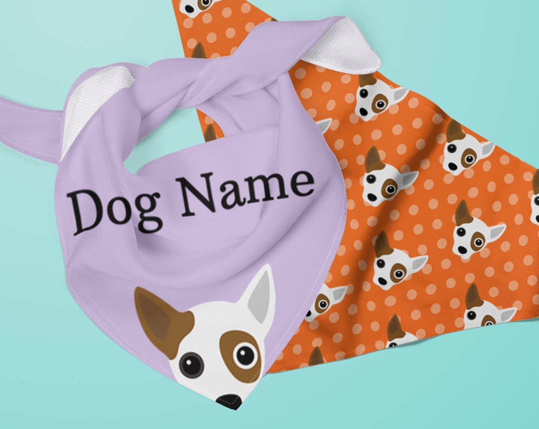 Two Personalized Dog Bandanas