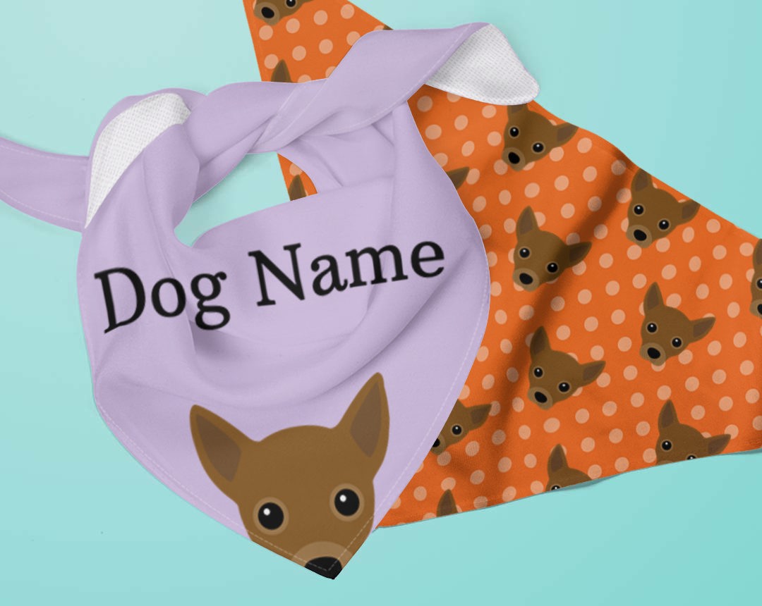 Two dog bandanas personalised for your dog