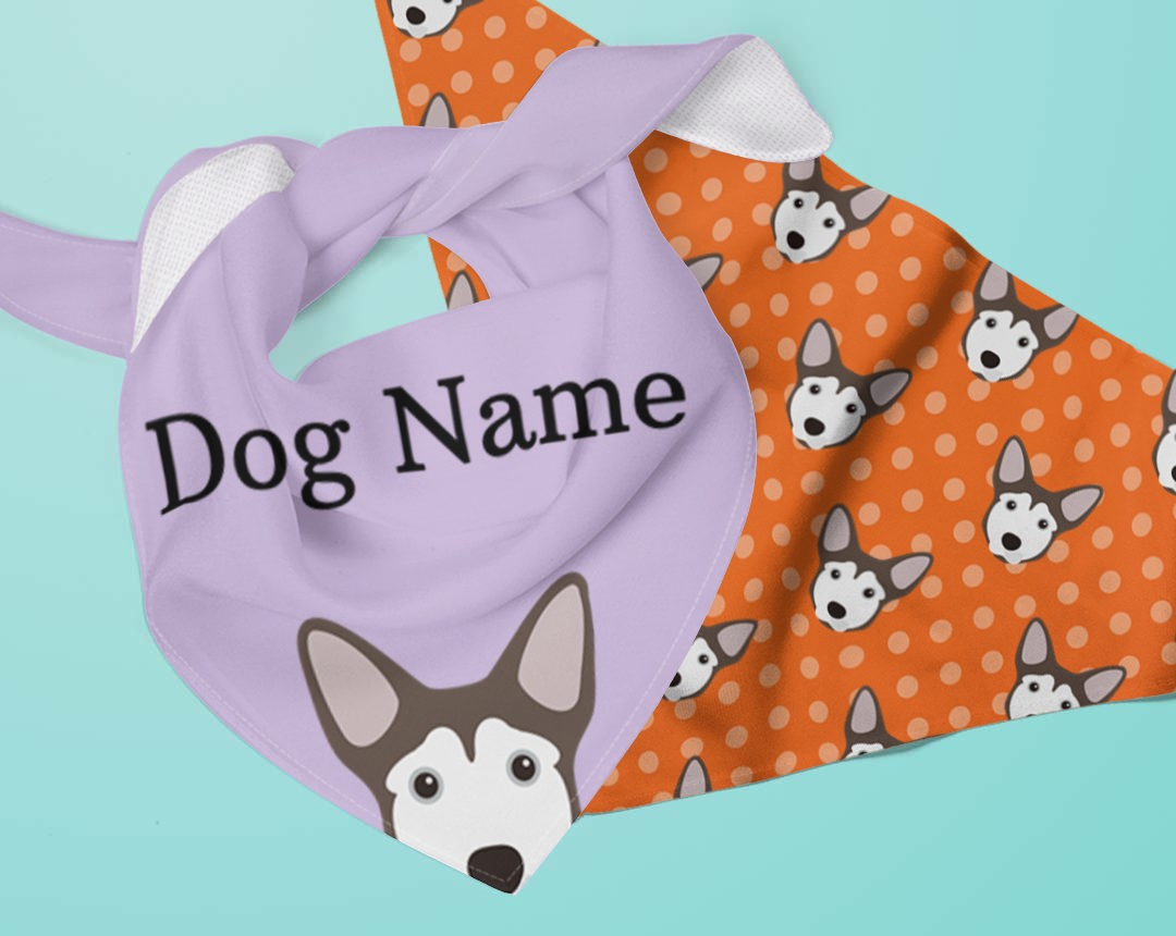 Two Personalized Dog Bandanas