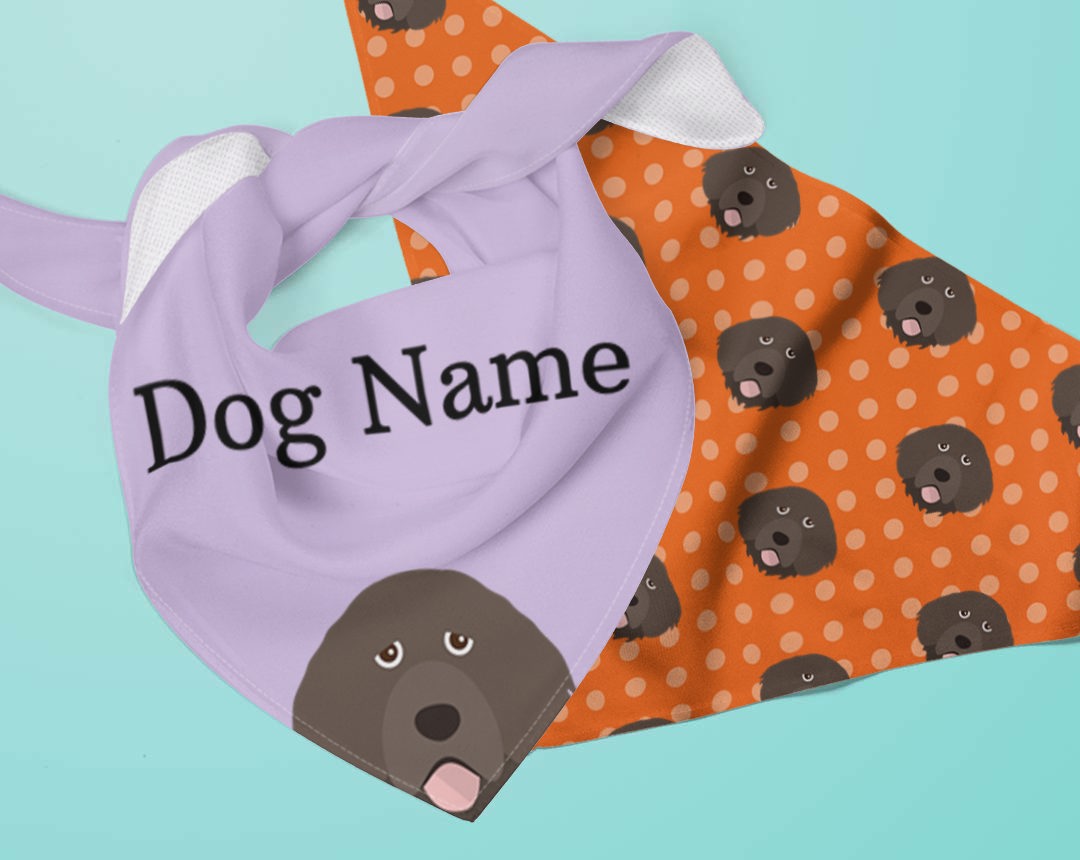 Two Personalized Dog Bandanas