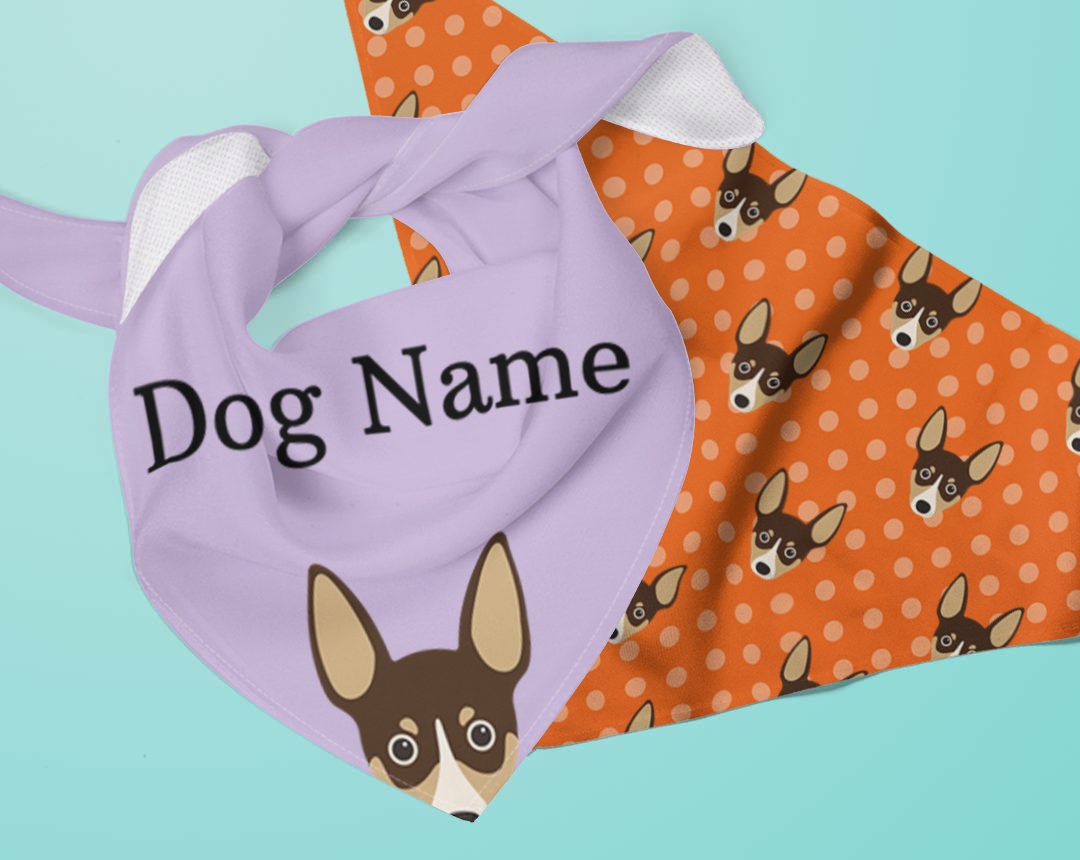 Two Personalized Dog Bandanas