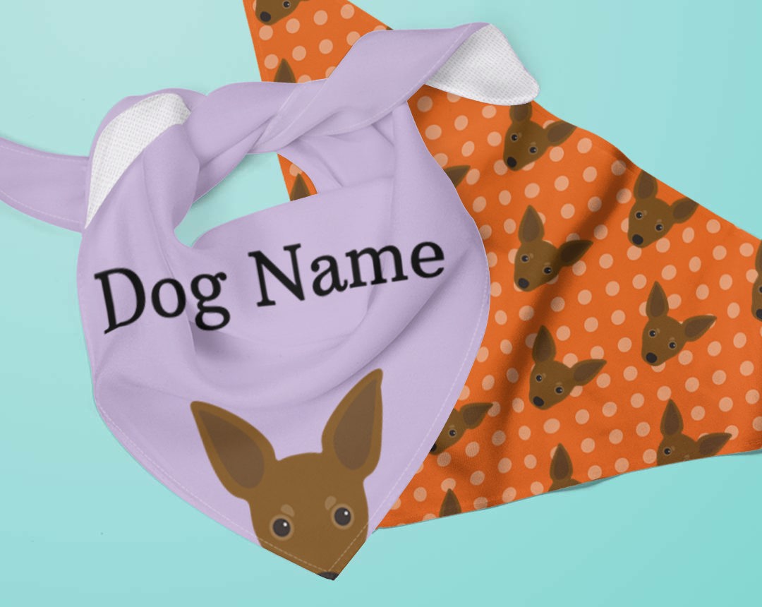 Two dog bandanas personalised for your dog