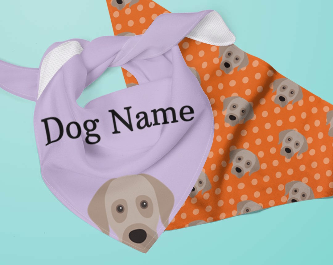 Two dog bandanas personalised for your dog