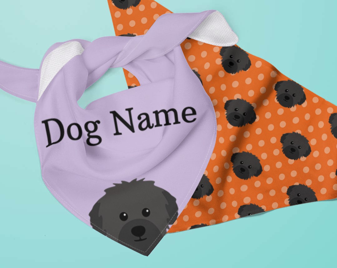 Two dog bandanas personalised for your dog