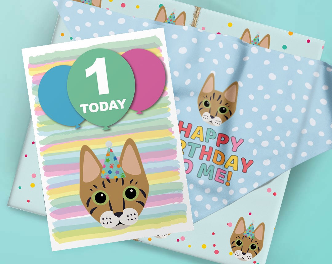 Personalized Cat Birthday Shop