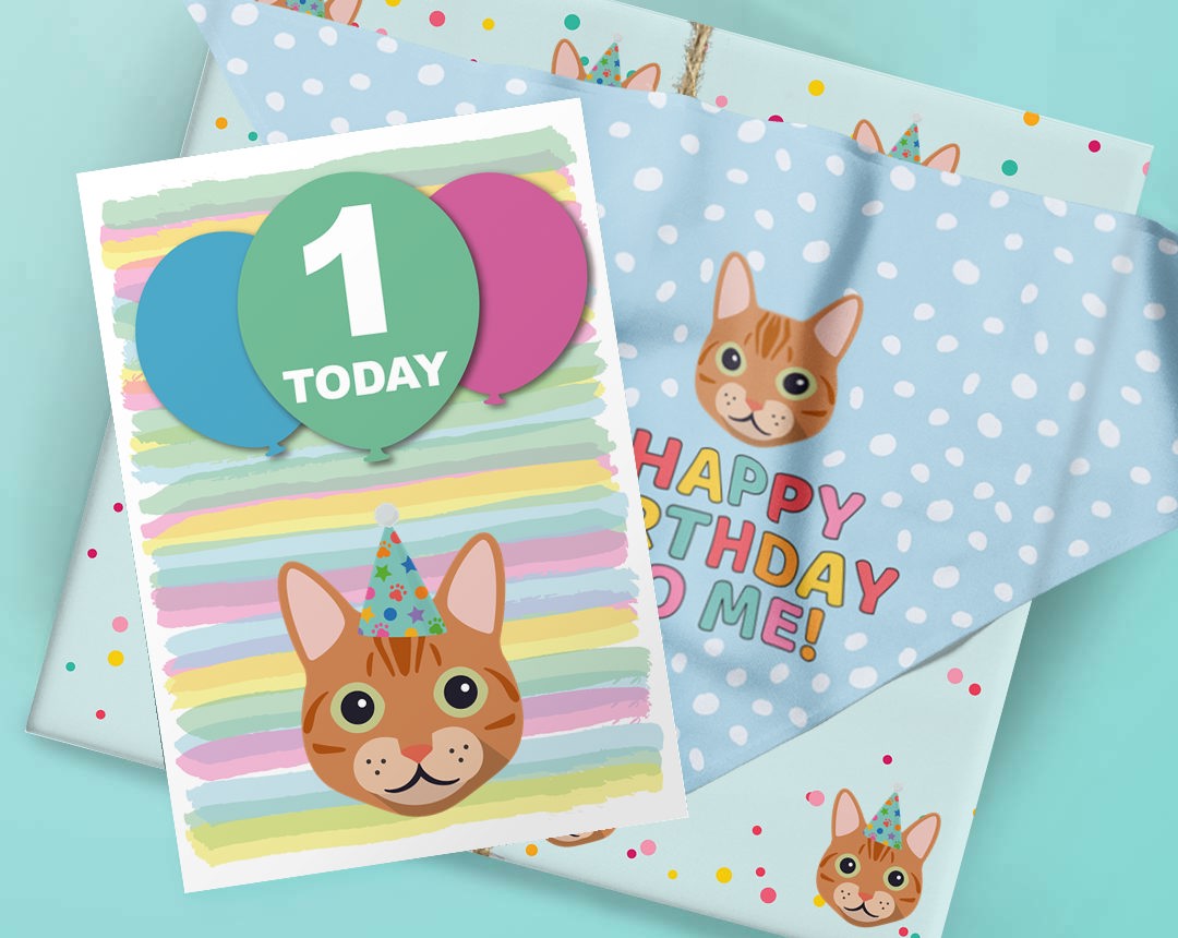 Personalized Cat Birthday Shop