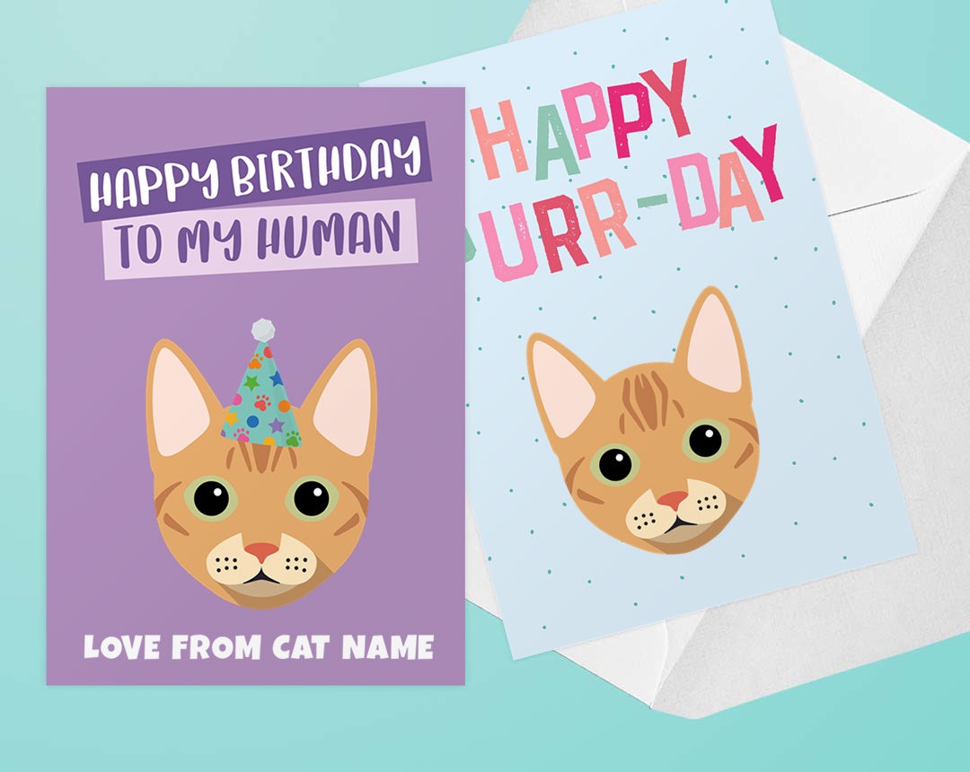 Personalized Cat Greeting Cards