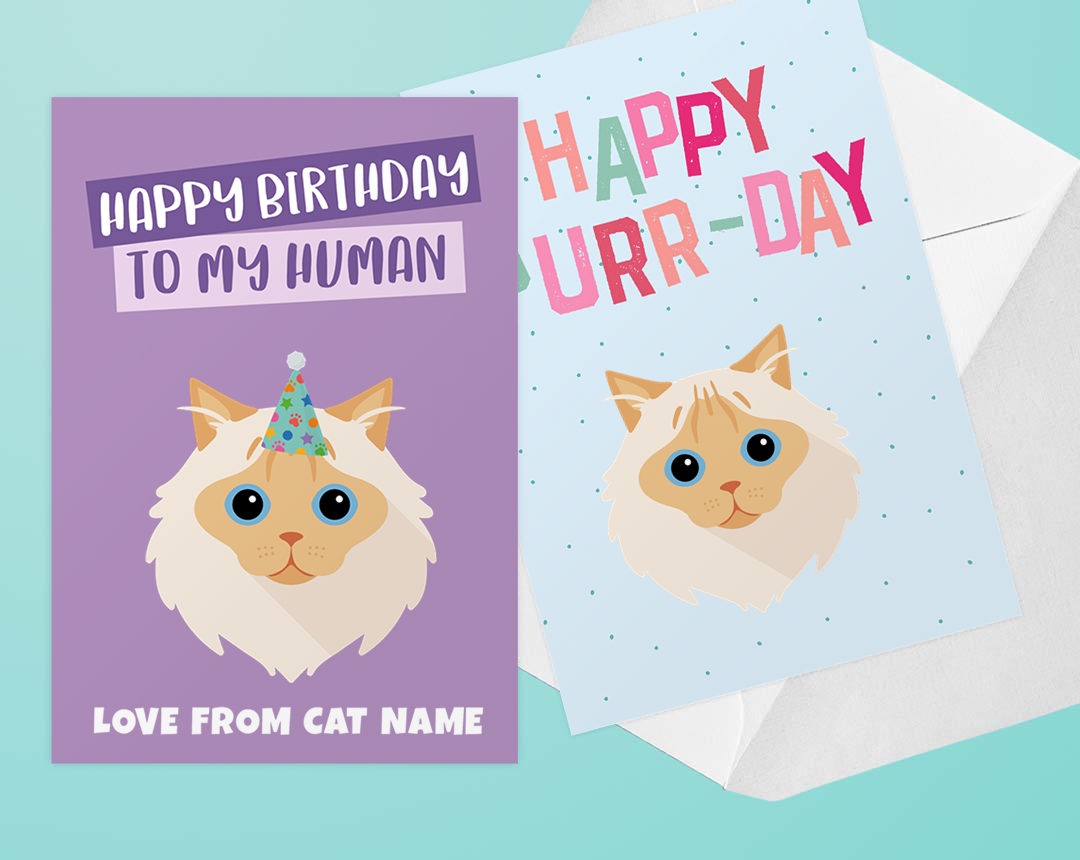 Personalized Cat Greeting Cards