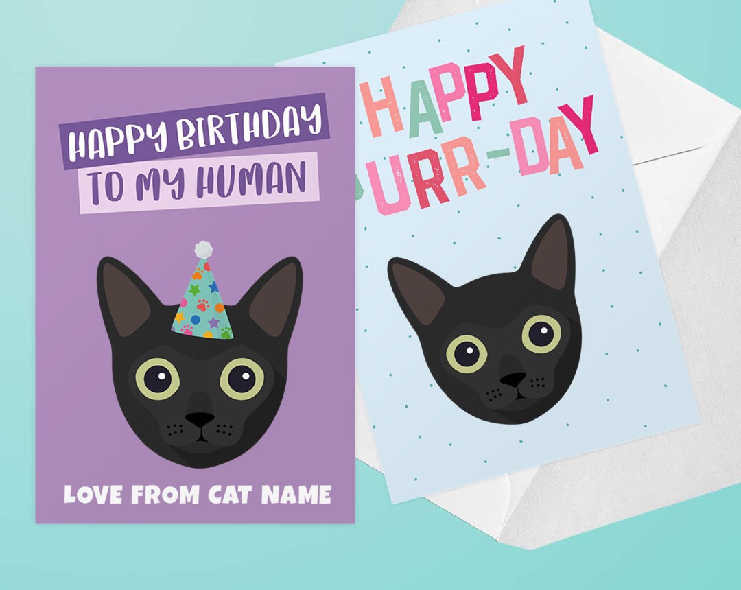 Personalised Cat Birthday Cards 