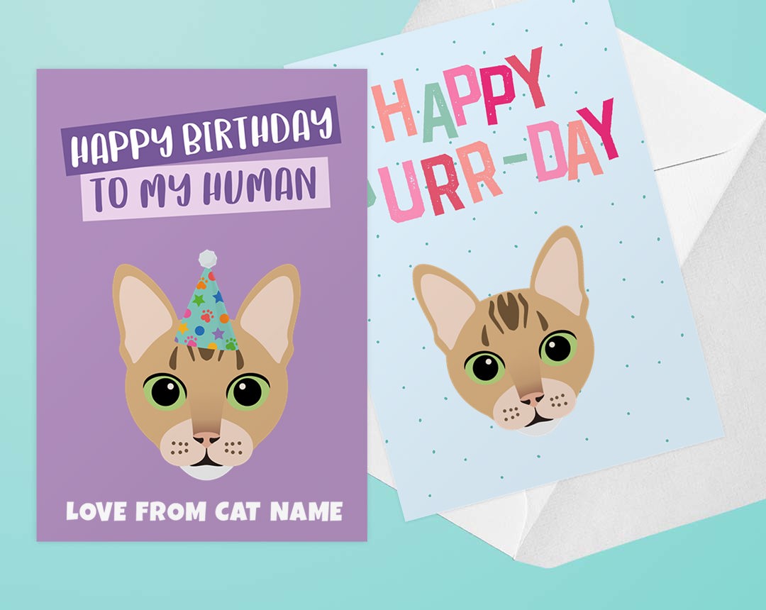 Personalized Cat Greeting Cards