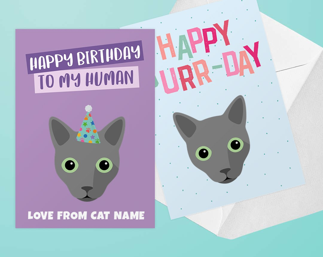 Personalized Cat Greeting Cards