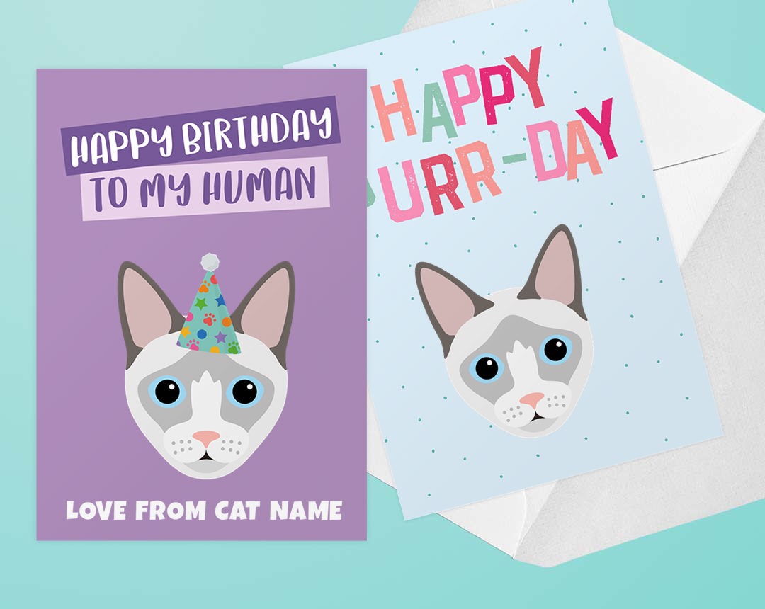 Personalised Cat Cards