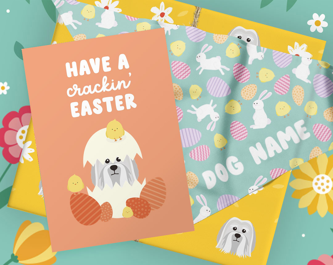 orange easter card, mint patterned easter bandana, and yellow wrapped gift