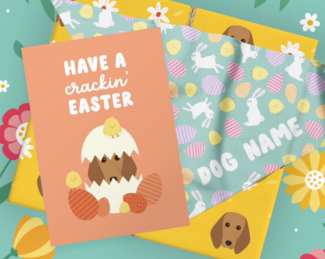 Easter Gifts for dogs