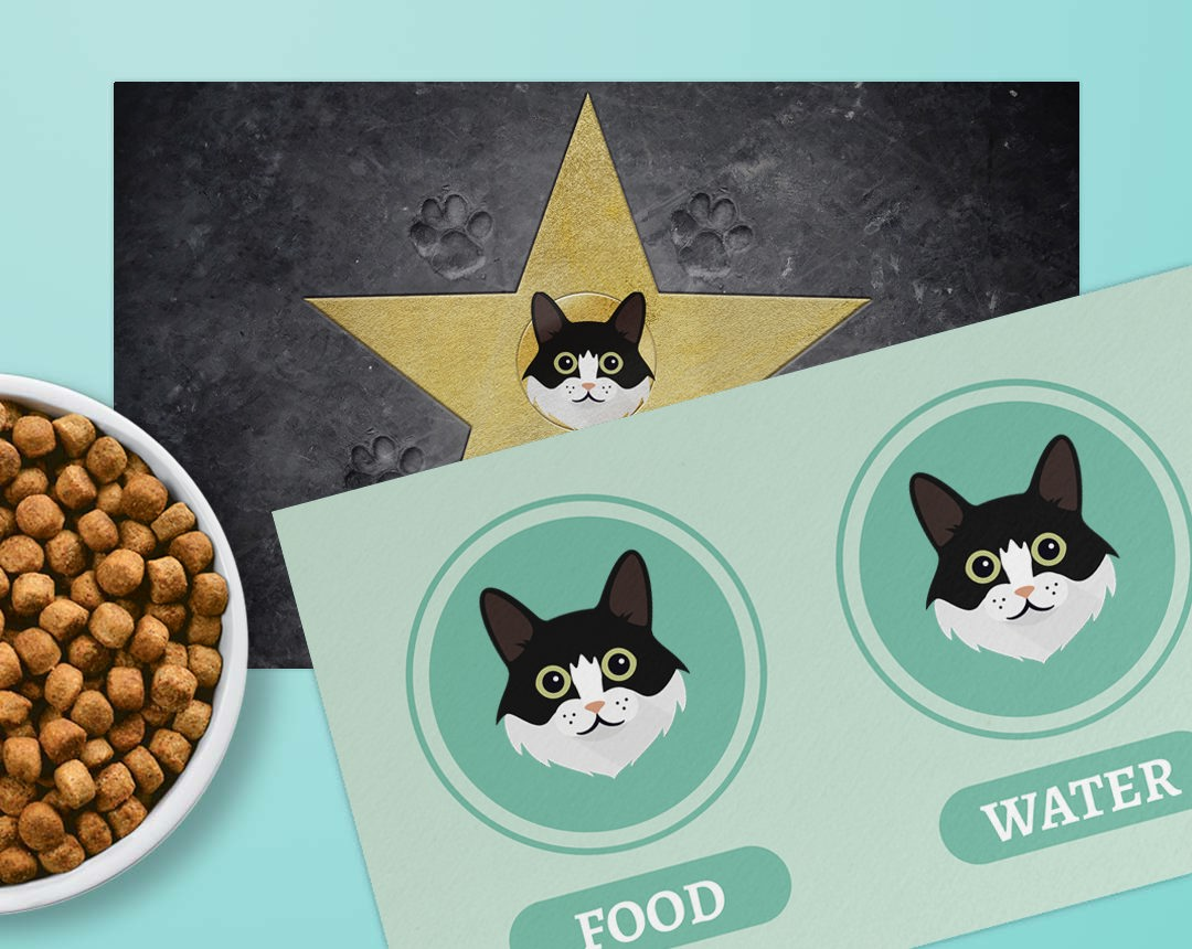 Personalised Feeding Mats for Cats