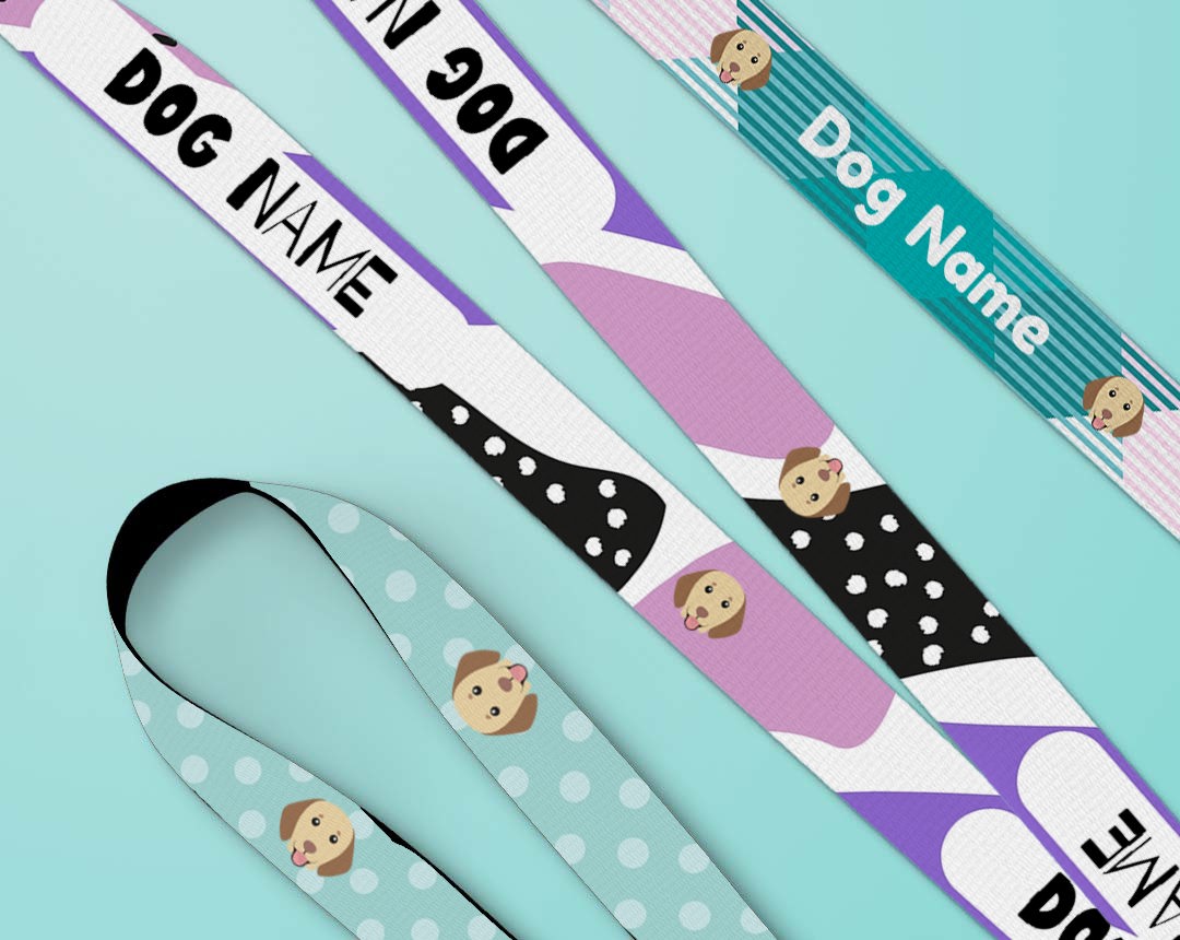 Personalised dog lead and collar