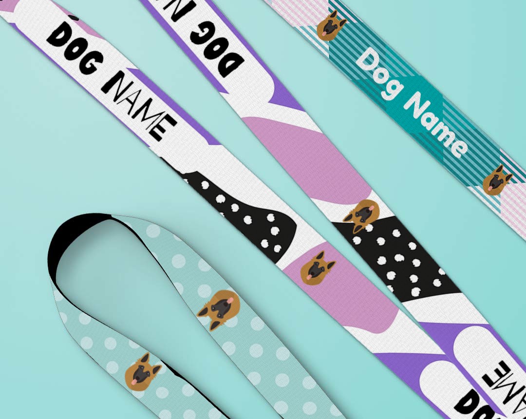 Personalised dog lead and collar