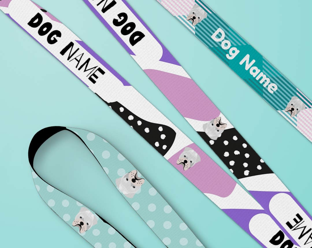 Personalised dog lead and collar