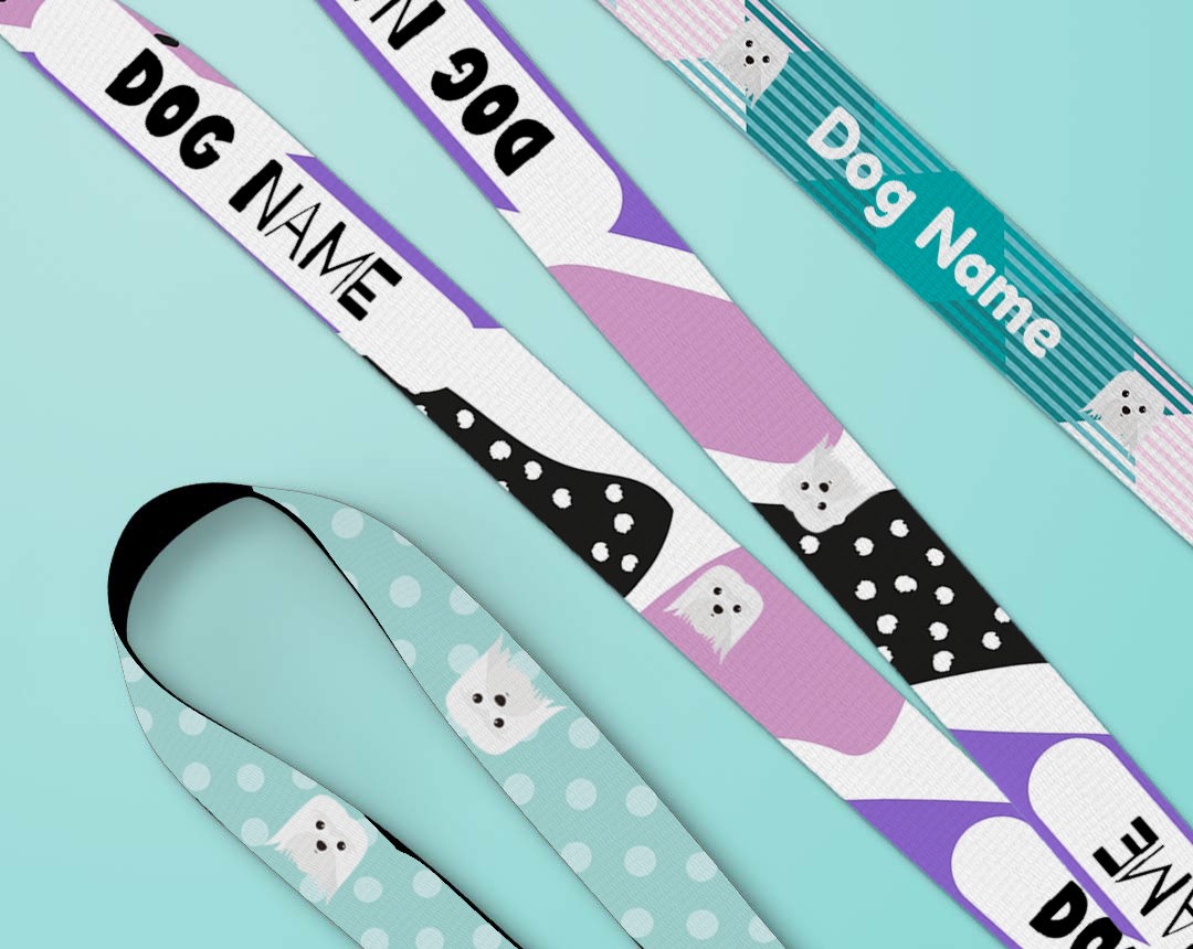 Personalised dog lead and collar