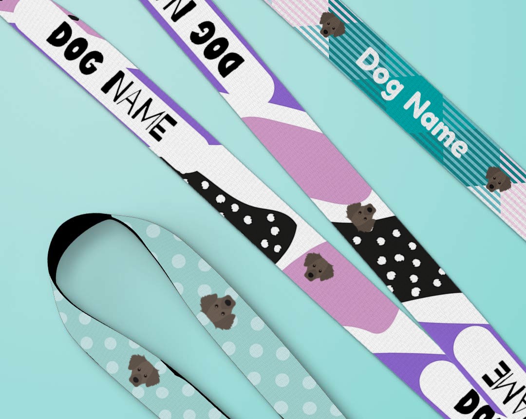 Personalised dog lead and collar