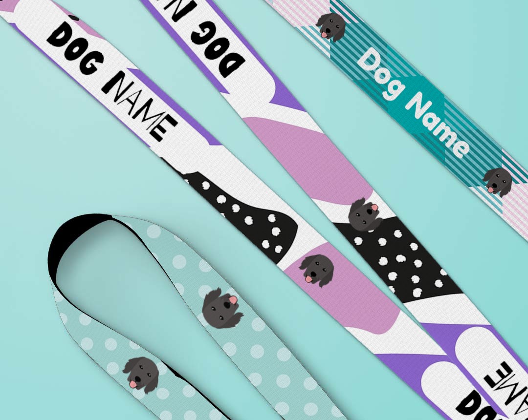 Personalised dog lead and collar