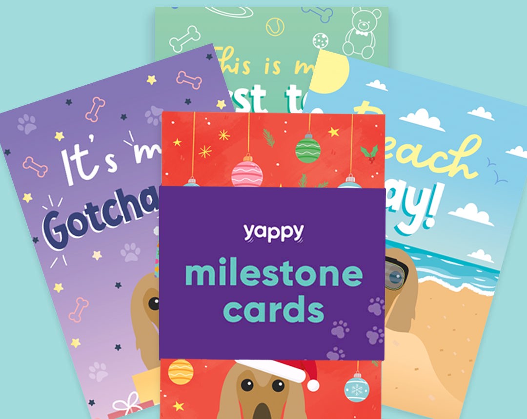 pet Milestone cards personalised for your dog