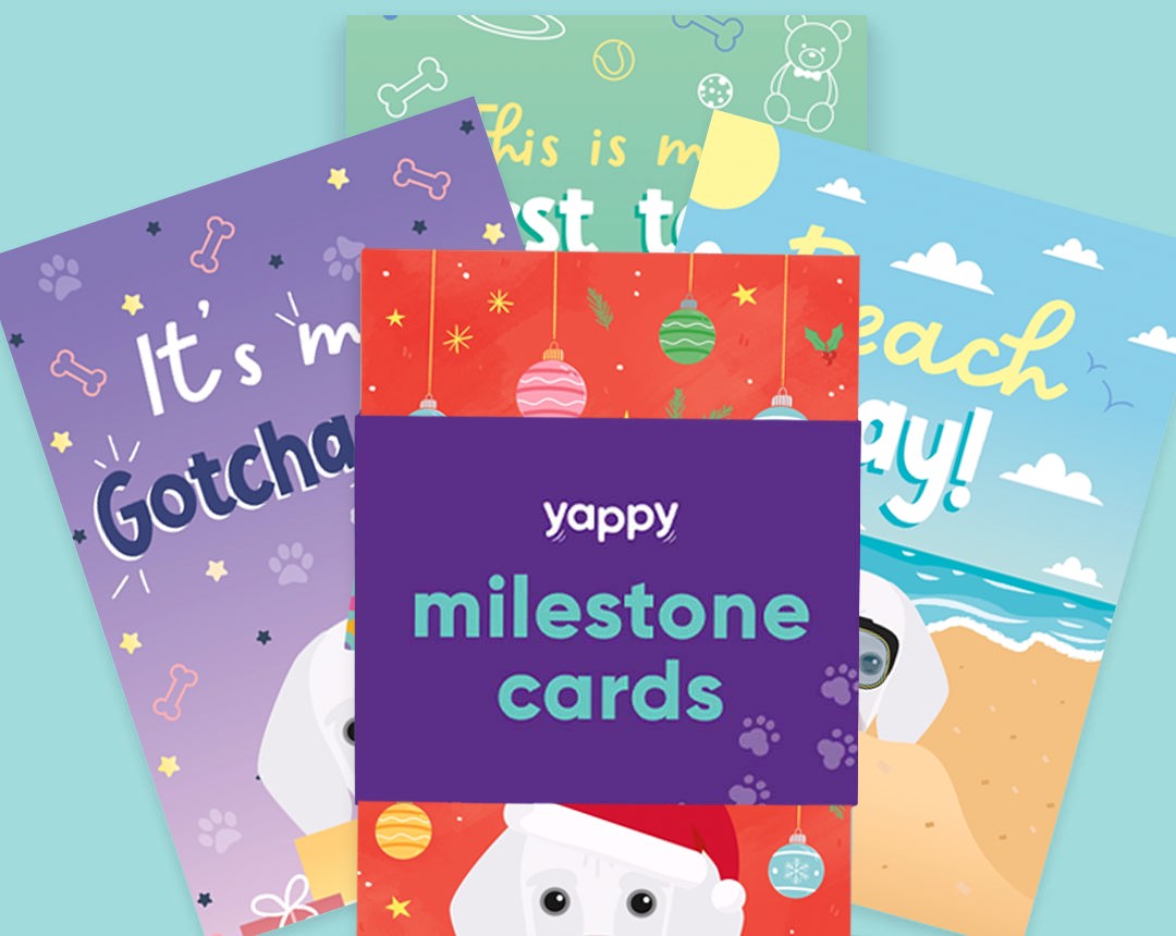 pet Milestone cards personalised for your dog