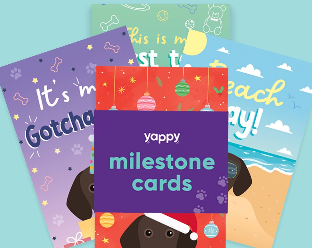 Milestone Cards personalised for your dog