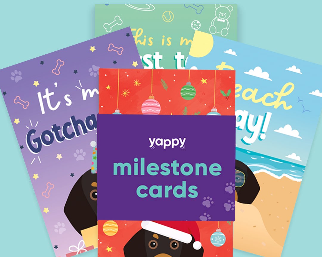 pet Milestone cards personalised for your dog