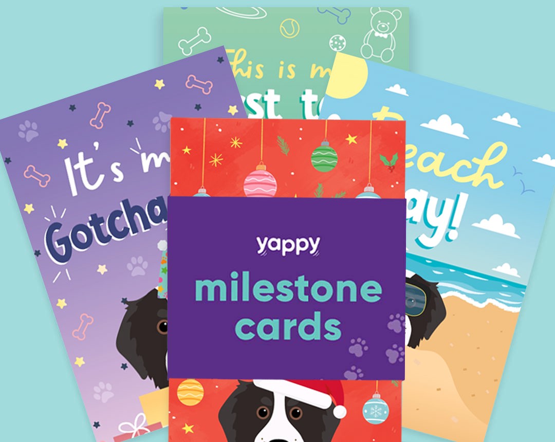 pet Milestone cards personalised for your dog