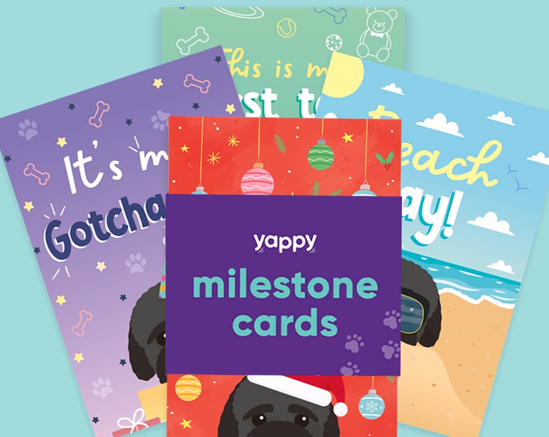 pet Milestone cards personalised for your dog