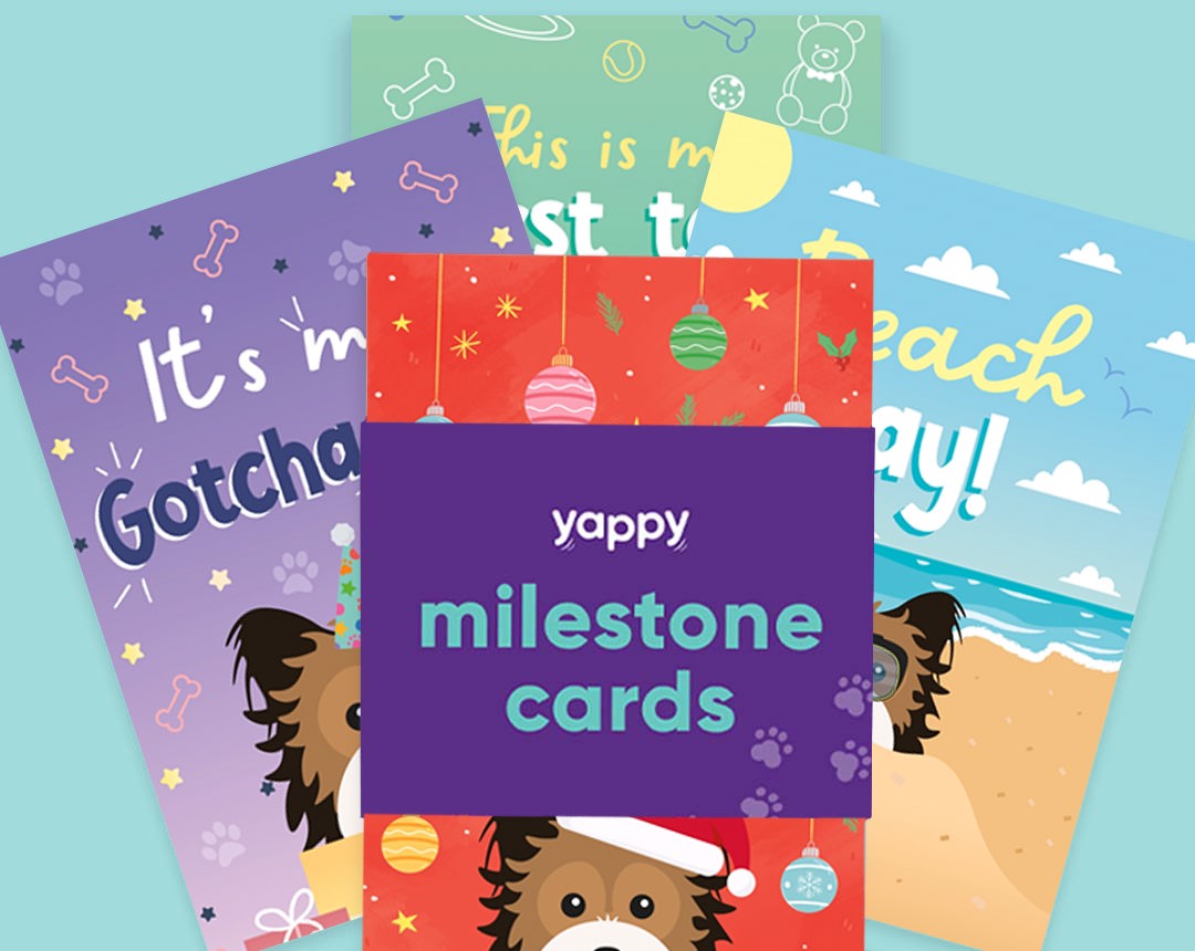 pet Milestone cards personalised for your dog