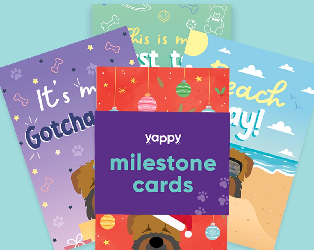 pet Milestone cards personalised for your dog