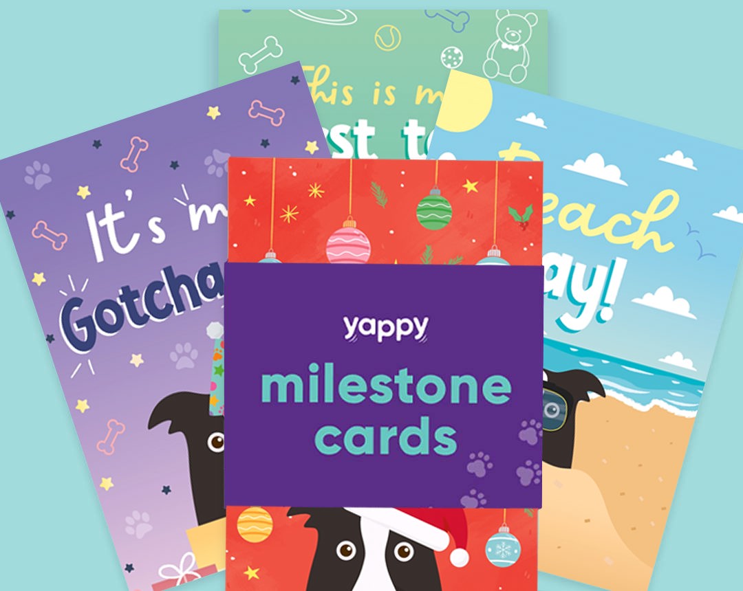 pet Milestone cards personalised for your dog