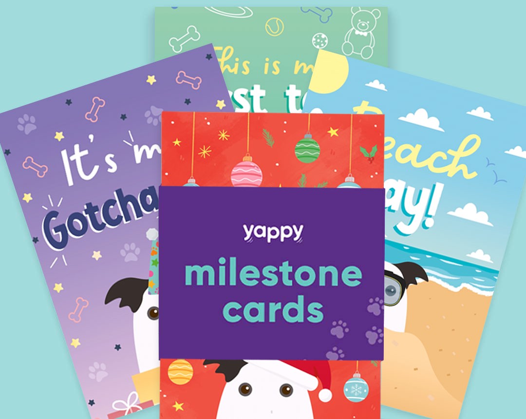 pet Milestone cards personalised for your dog