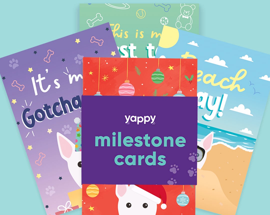 Milestone Cards personalised for your dog