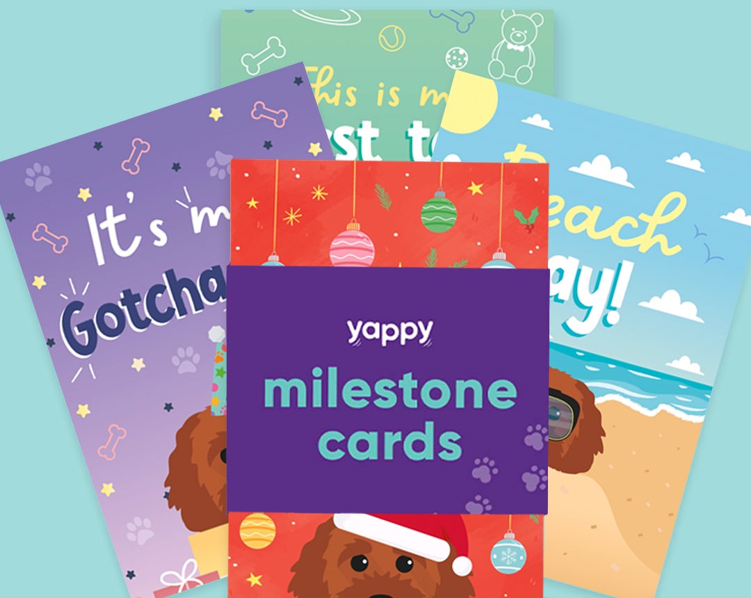 Milestone Cards personalised for your dog