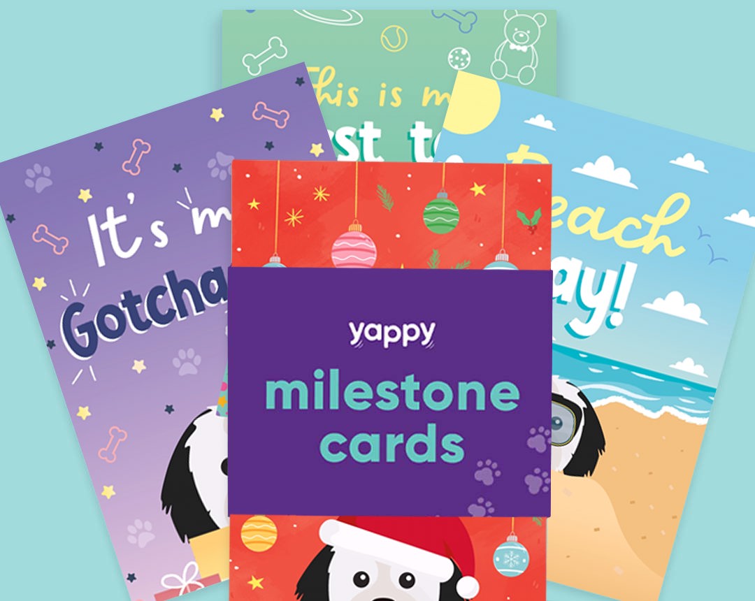 pet Milestone cards personalised for your dog