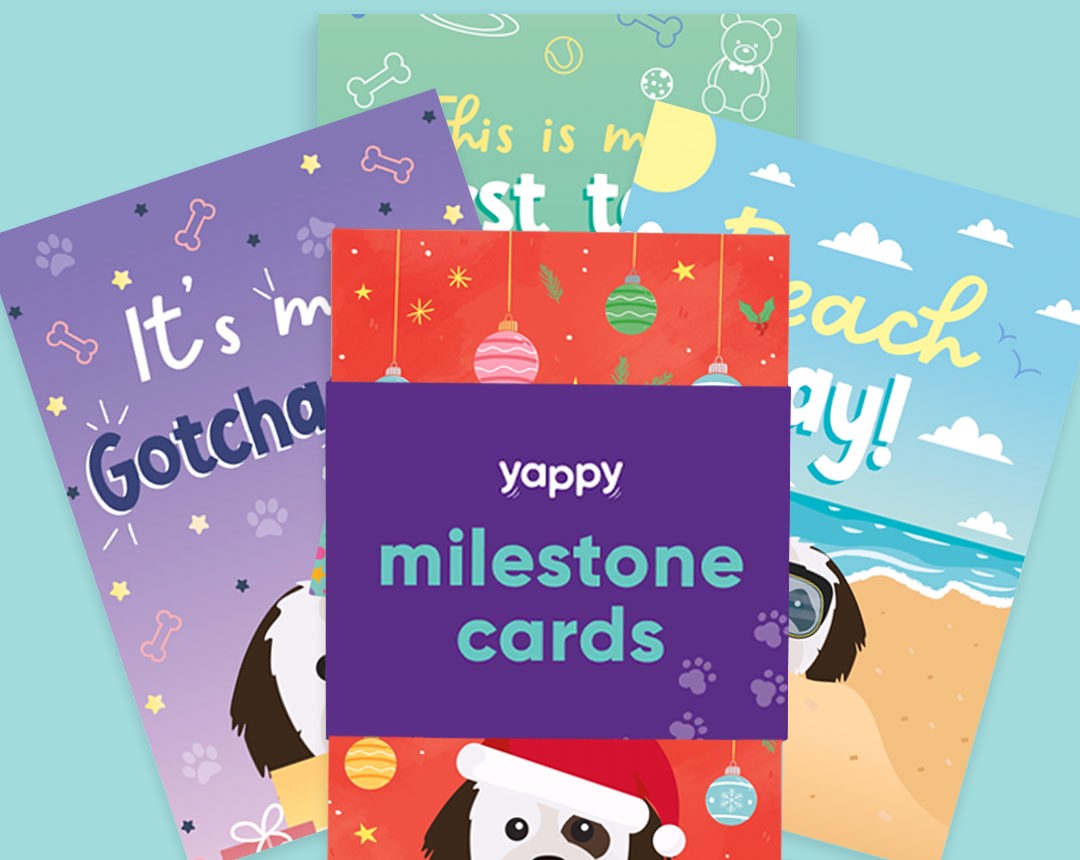 Pet milestone cards personalised for your dog