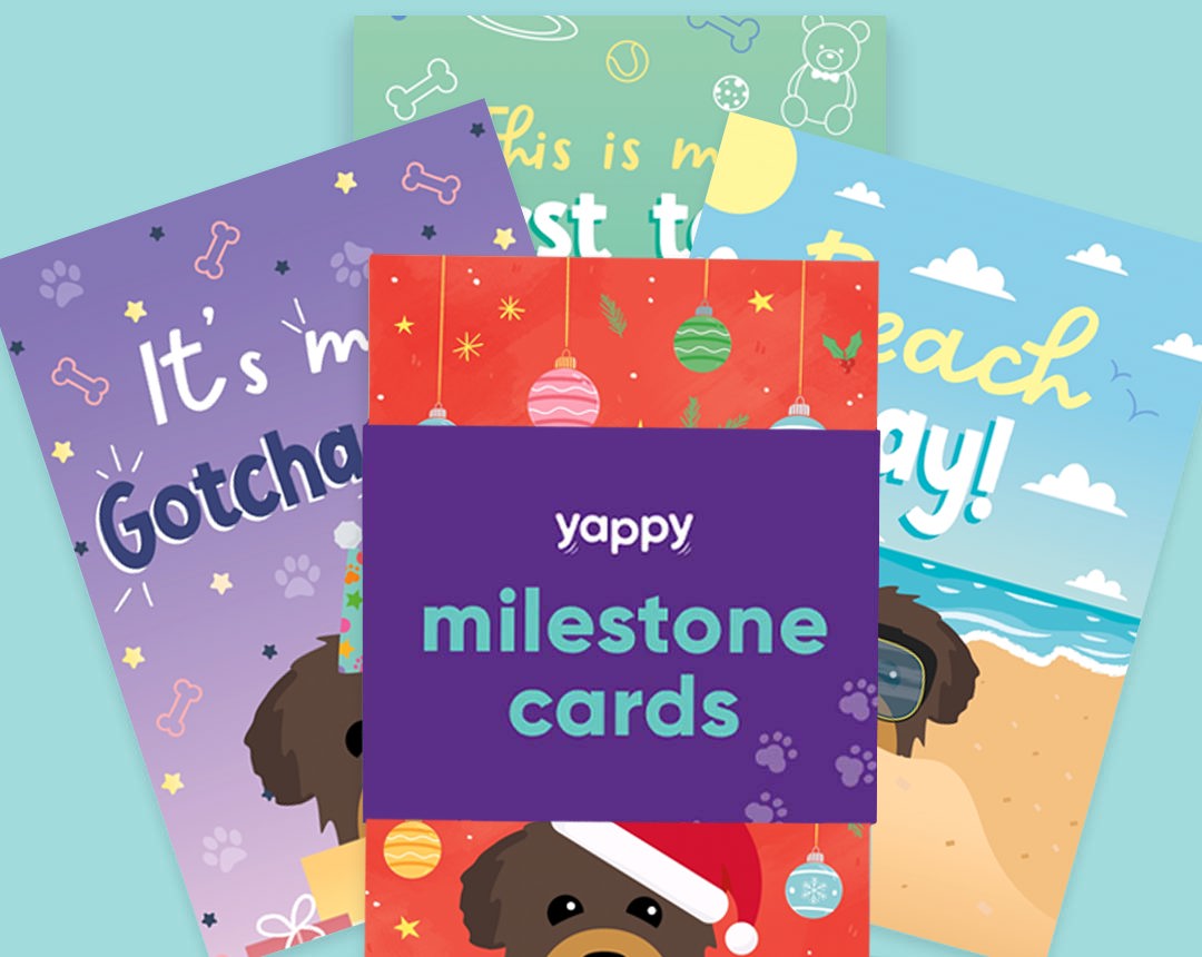 pet Milestone cards personalised for your dog