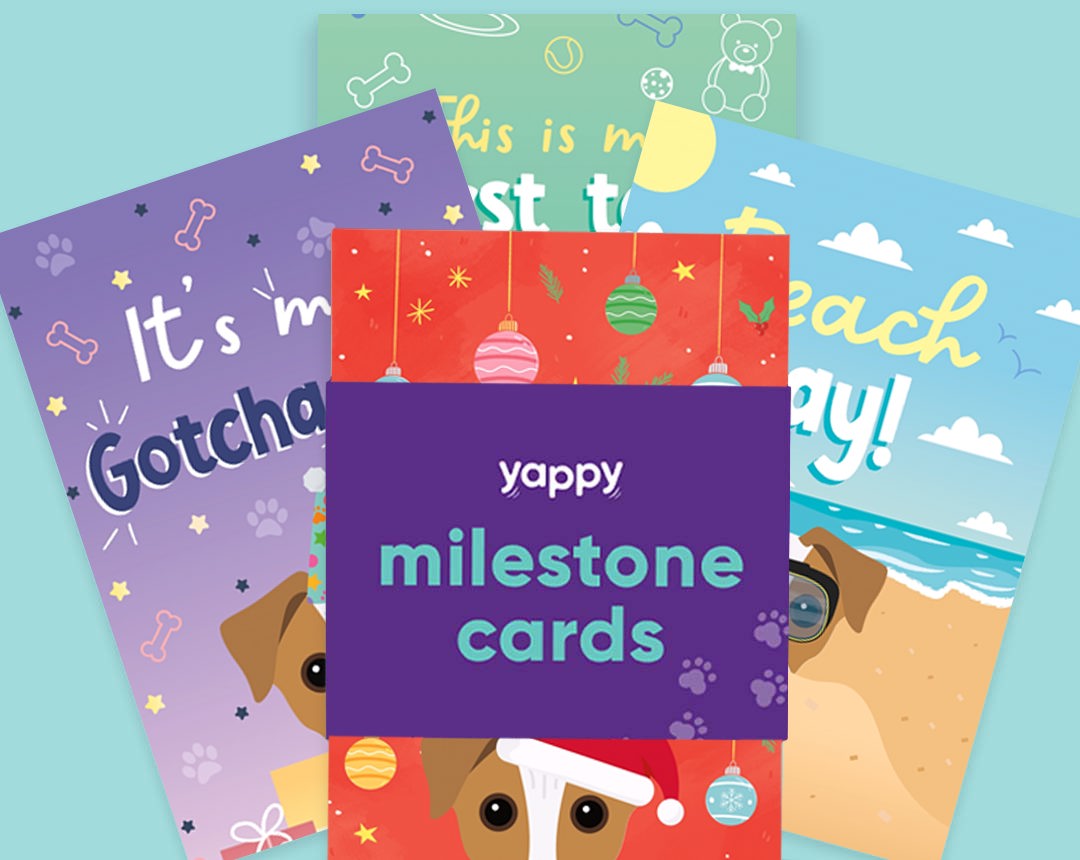 pet Milestone cards personalised for your dog