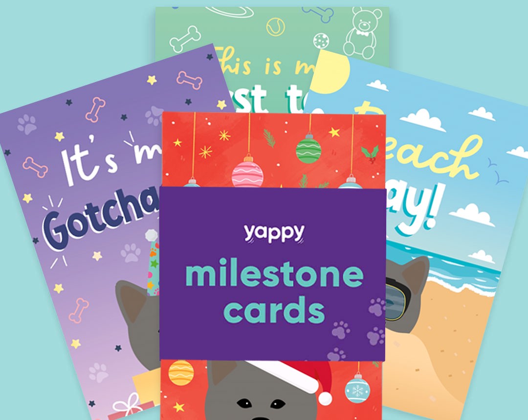 pet Milestone cards personalised for your dog