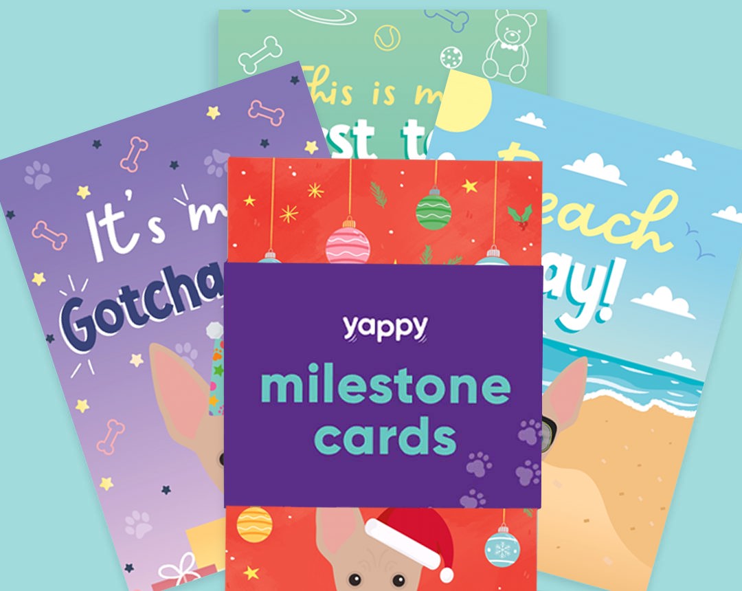 pet Milestone cards personalised for your dog