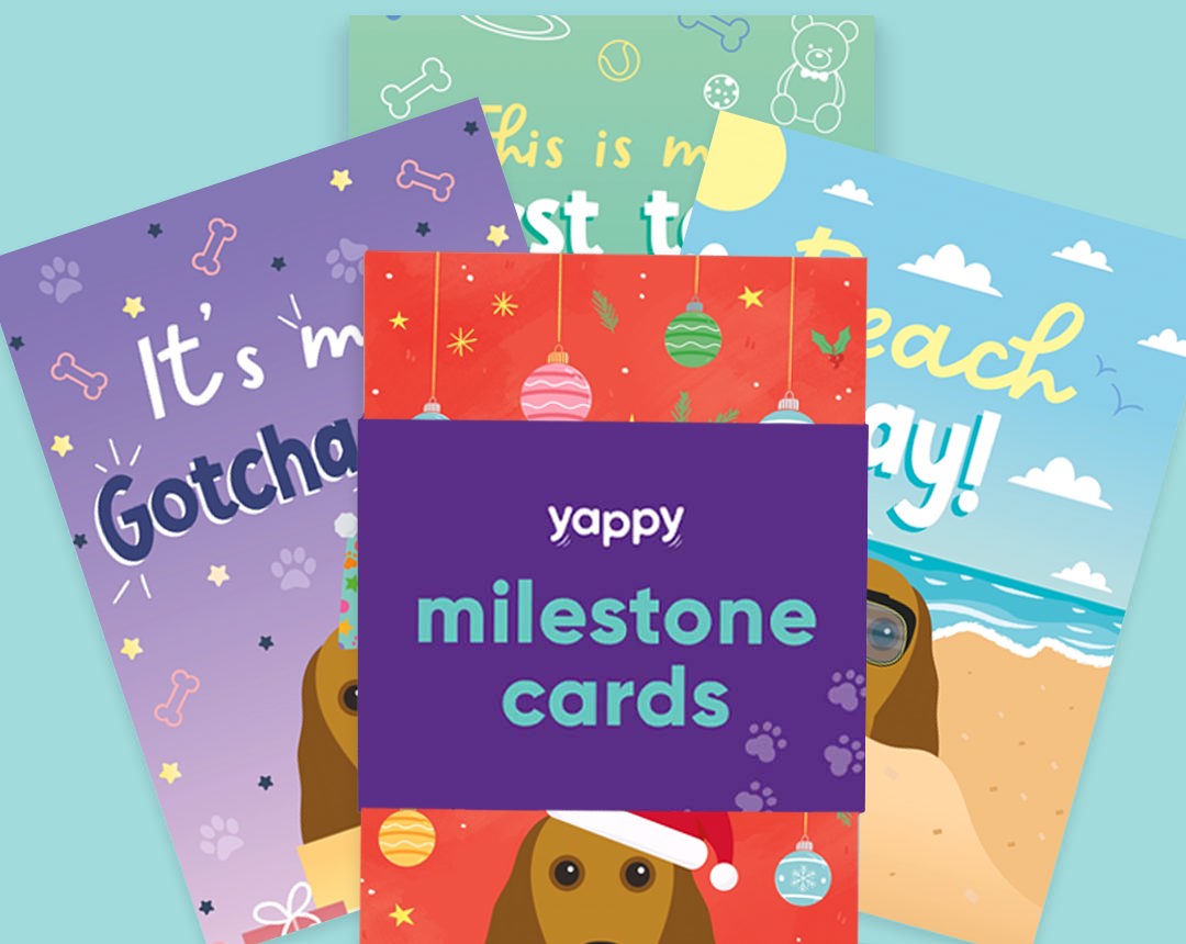 pet Milestone cards personalised for your dog