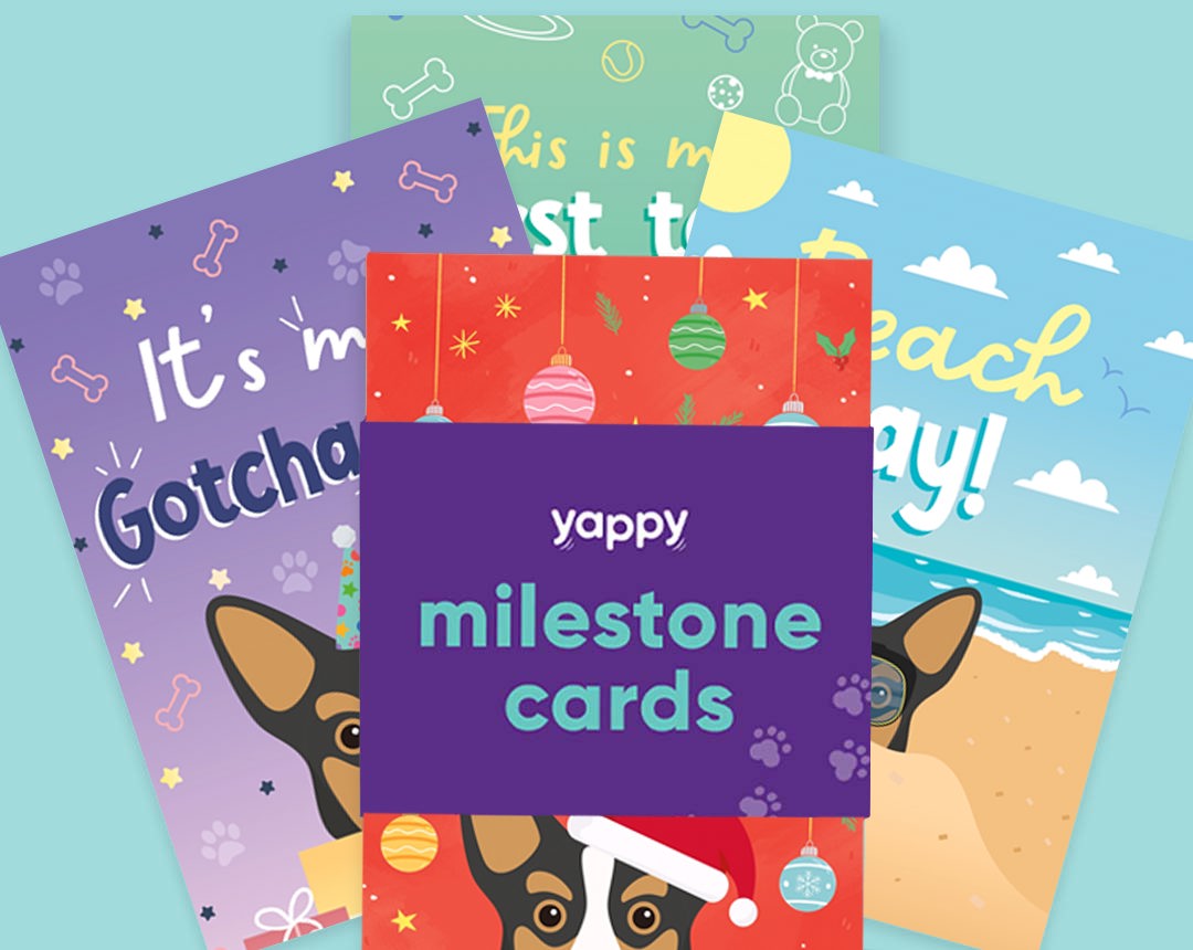 pet Milestone cards personalised for your dog