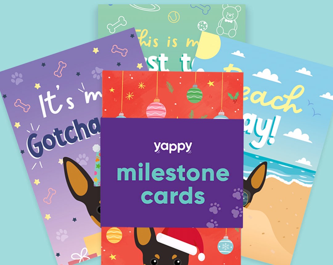 pet Milestone cards personalised for your dog