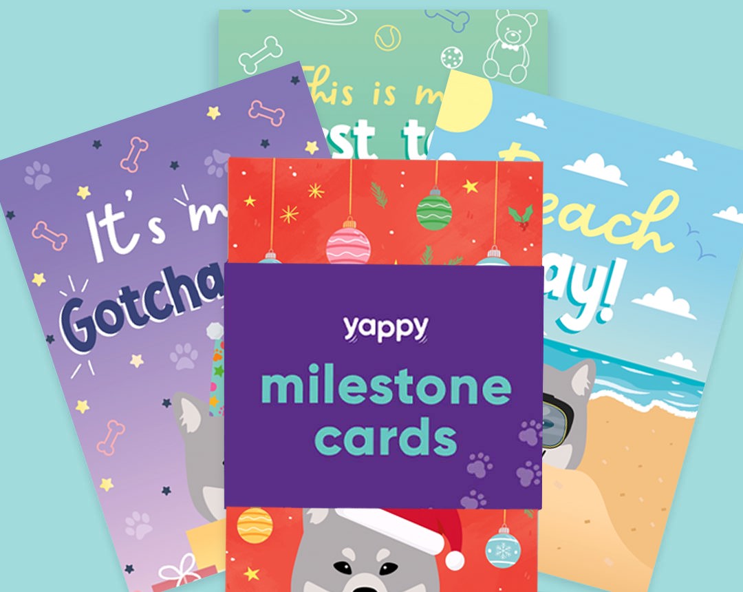 pet Milestone cards personalised for your dog