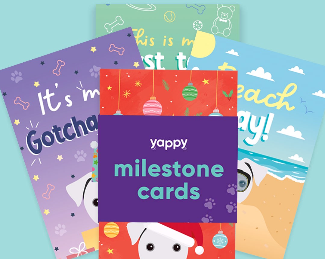 pet Milestone cards personalised for your dog