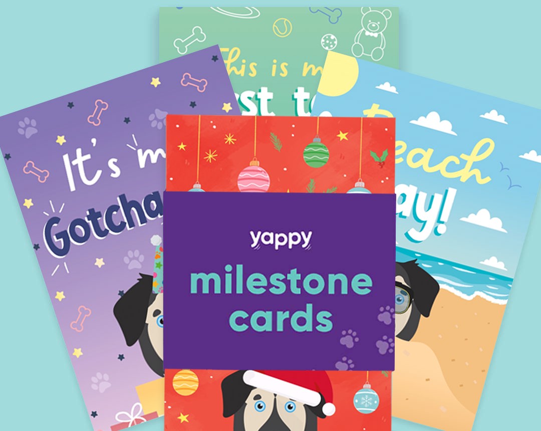 pet Milestone cards personalised for your dog