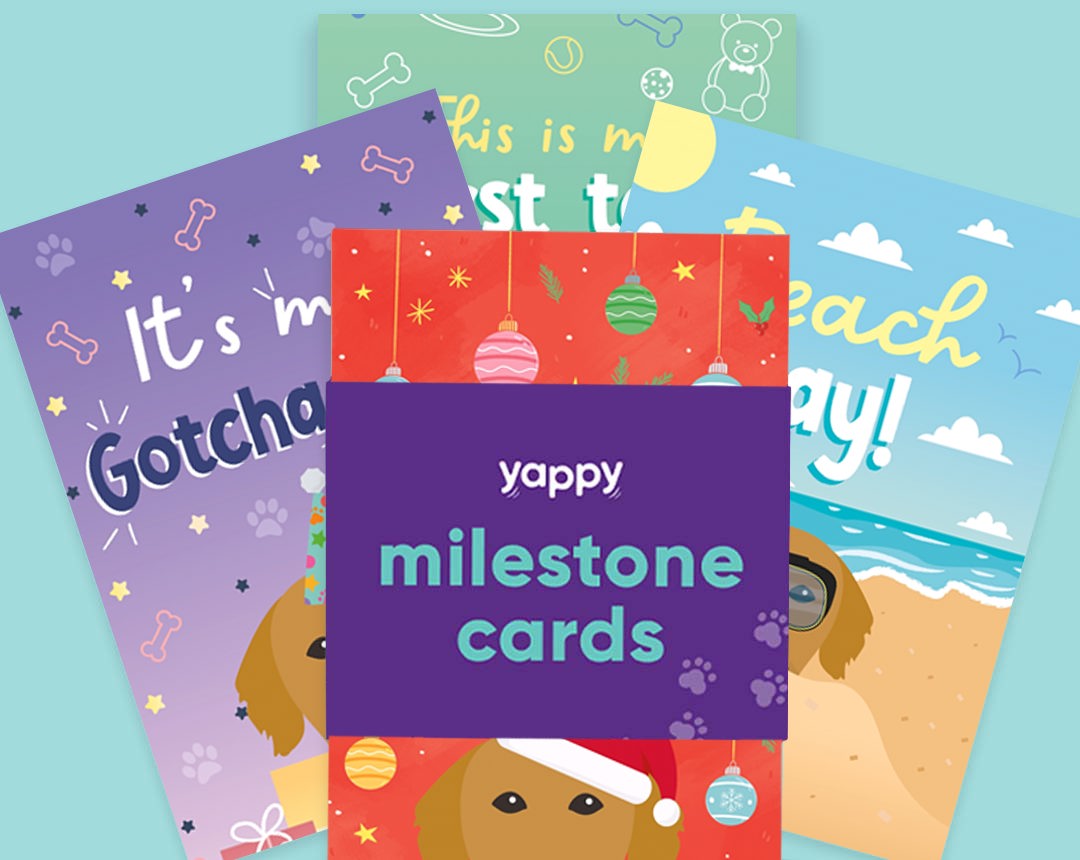 pet Milestone cards personalised for your dog